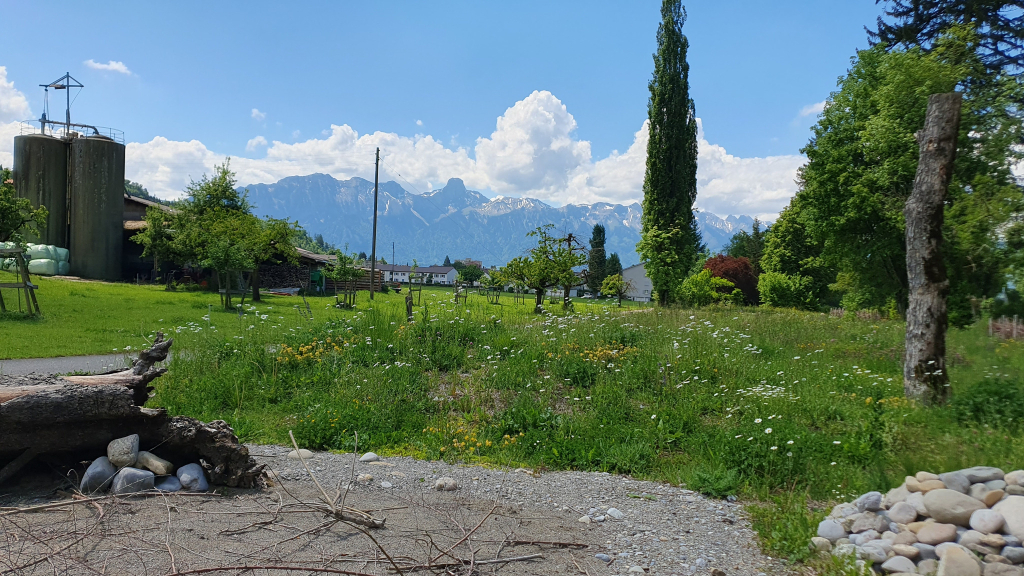 Abb. 1: Wildbienenstandort Pappelweg: Sandfläche und lückig bewachsene Flächen für bodennistende Wildbie-nenarten, Totholzstrukturen für oberirdisch nistende Arten, Blumenwiese als Nahrungsangebot