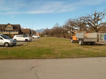 Mustergarten vorher…